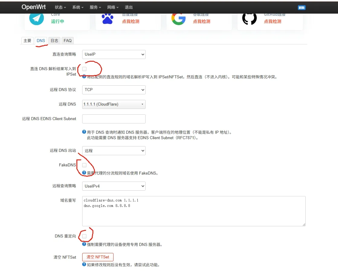 dns_set.png